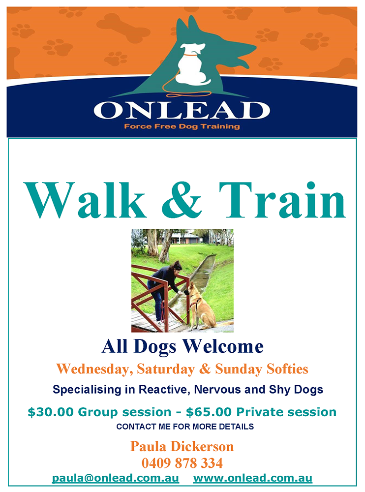 Walk & Train
